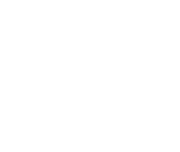 Spark